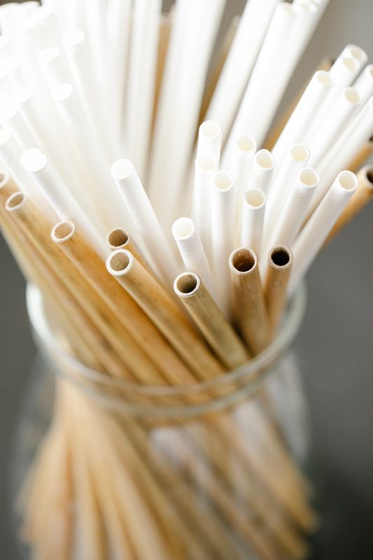 Bamboo Straws — biodegradable, bulk export product | Go Green Organix